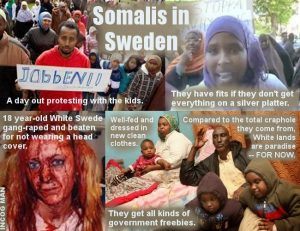 What The Hell Is Wrong With Sweden?