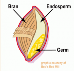 Carbohydrates Are Not As Bad As You’ve Been Led To Believe