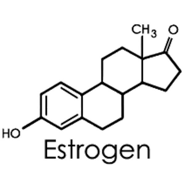 4 Highly Estrogenic Foods Besides Soy That Could Lower Your Testosterone