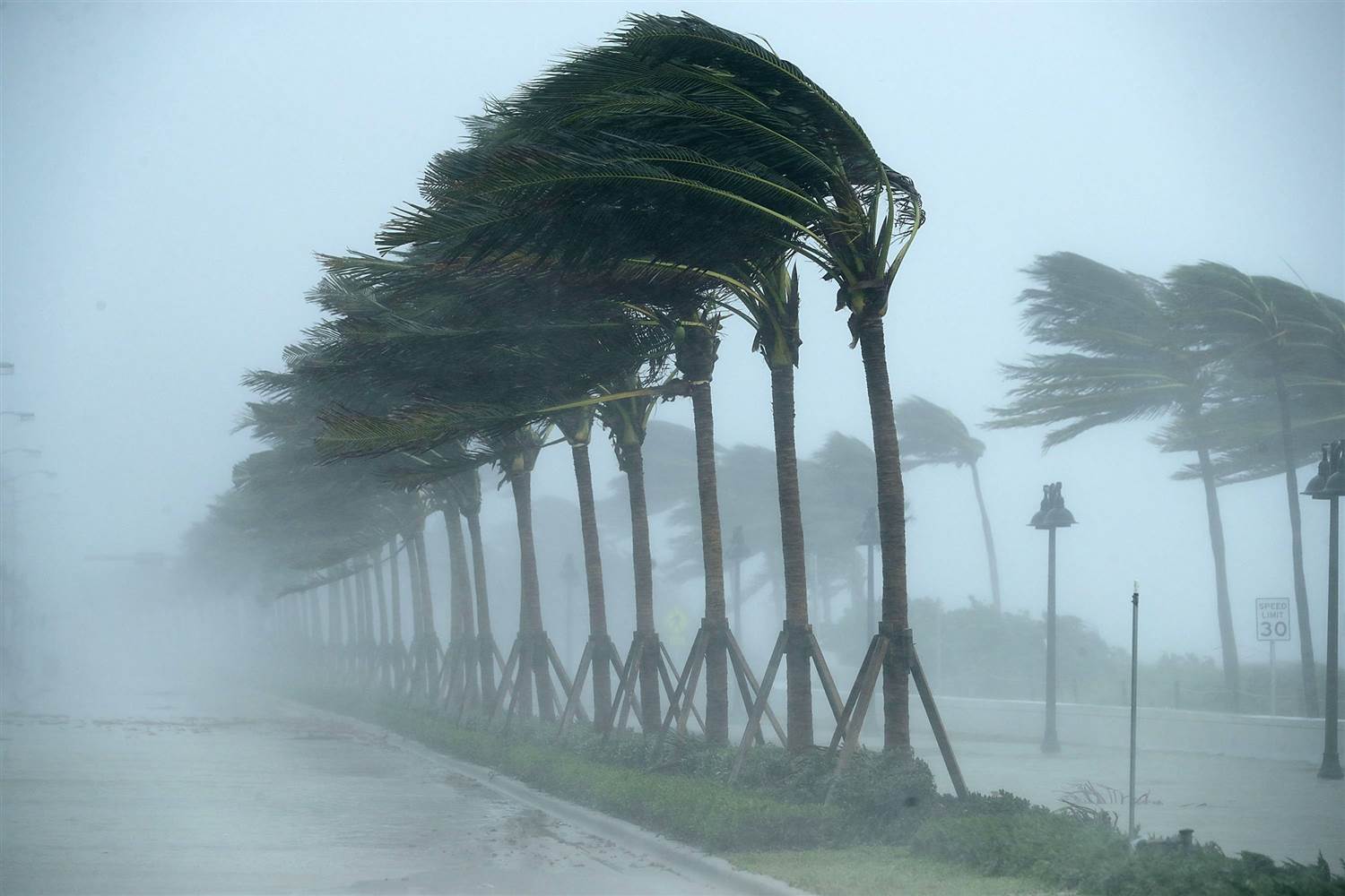 This Year’s Active Hurricane Season Does Not Prove Global Warming