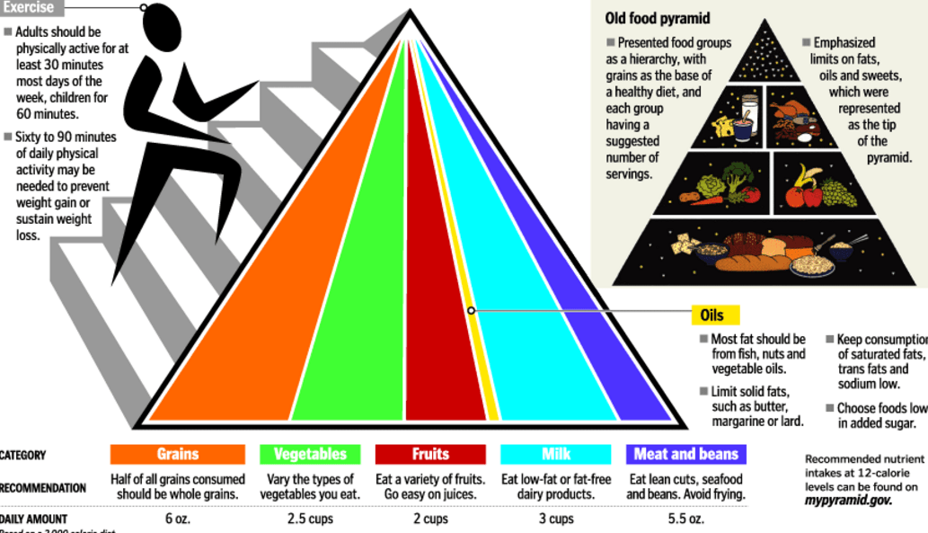 3 Most Popular Diets People Use To Lose Weight