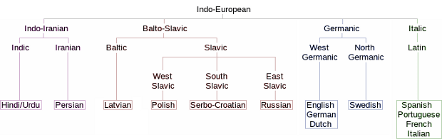 What It Takes To Learn A New Language