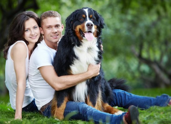 3 Reasons Men Need A Dog