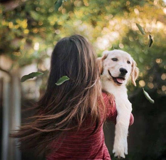 3 Reasons Men Need A Dog