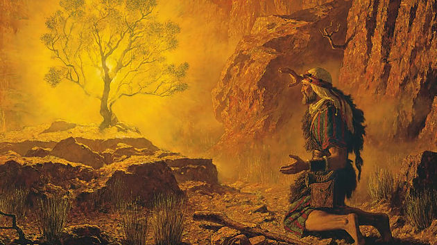 Jordan Peterson Helped Me Find God In A Burning Bush