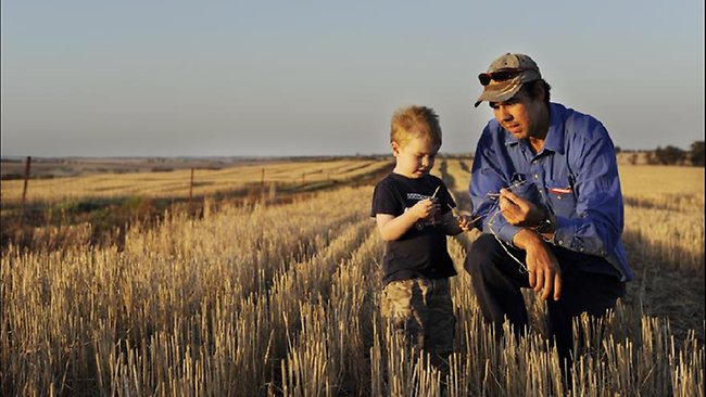 Land Is A Source Of Liberty And Masculinity