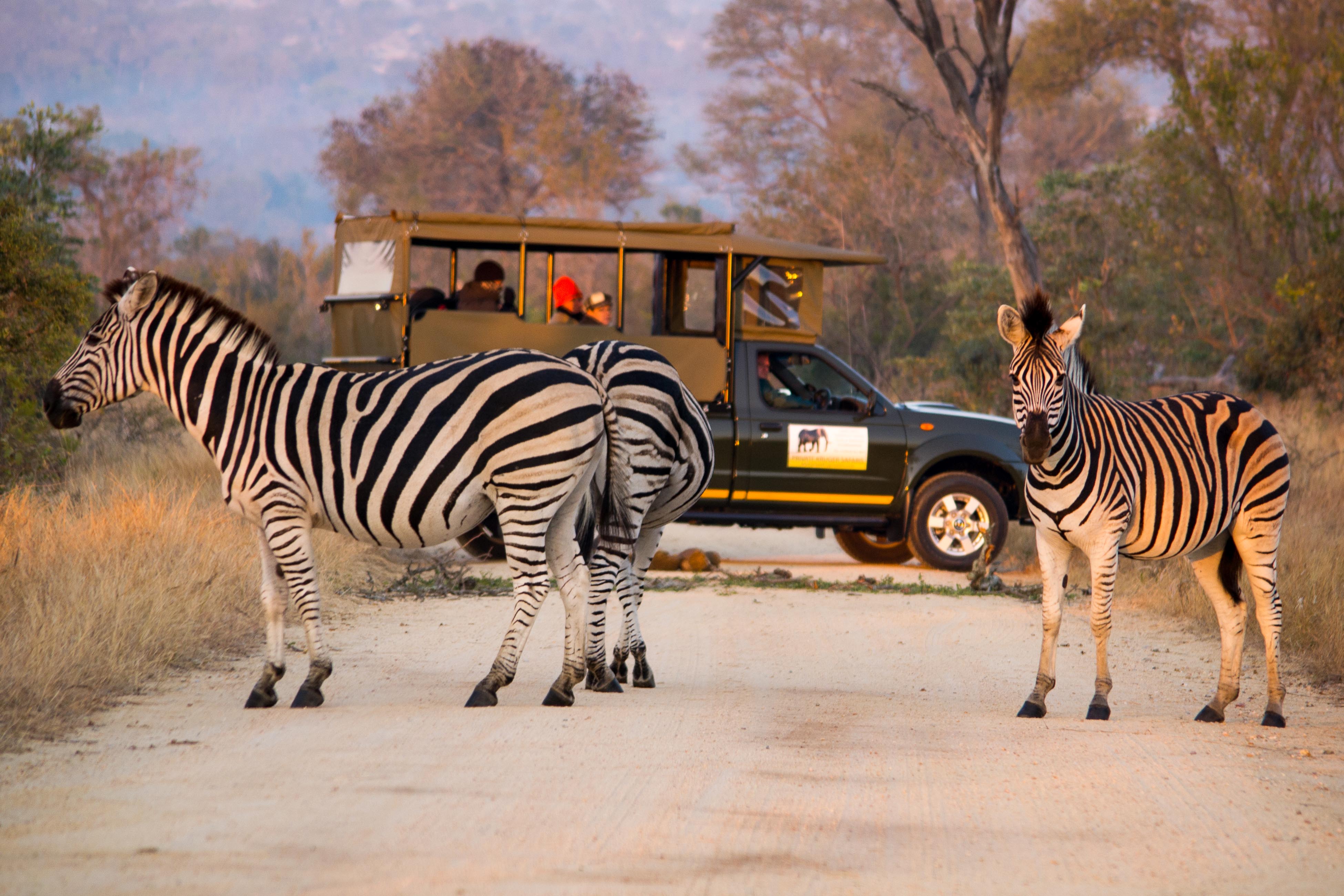 The Search For Meaning In South Africa’s Kruger Park