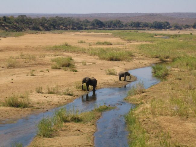 The Search For Meaning In South Africa’s Kruger Park