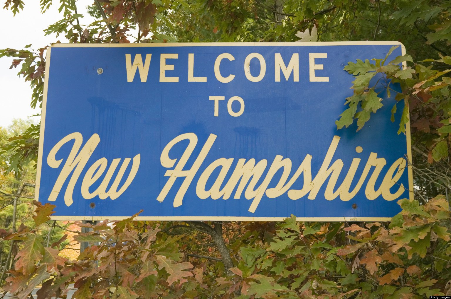 The New York Times Wants To Make New Hampshire Less White