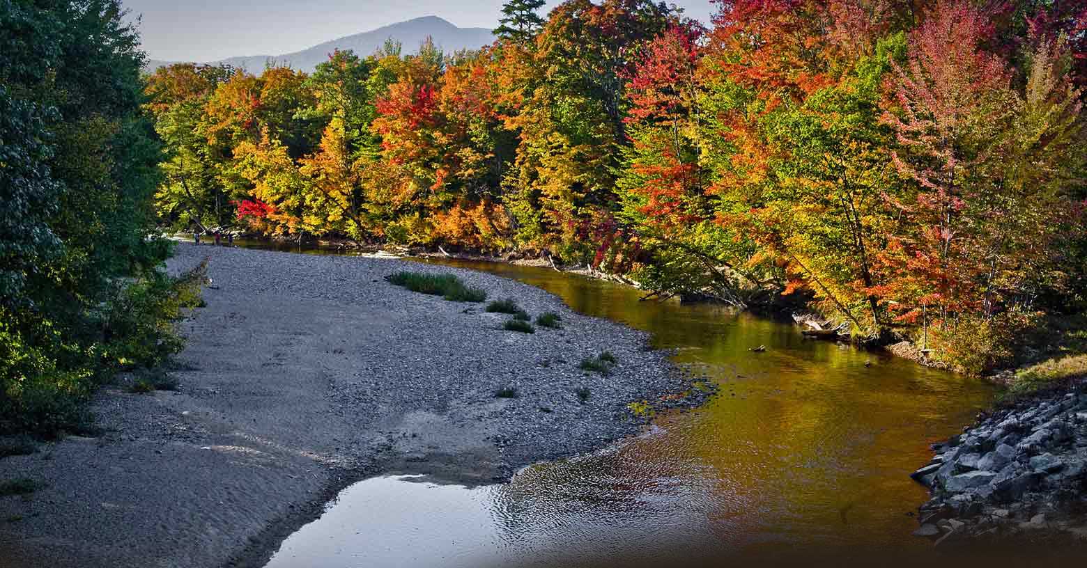 The New York Times Wants To Make New Hampshire Less White